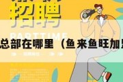 鱼来鱼旺总部在哪里（鱼来鱼旺加盟费多少）