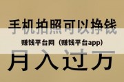 赚钱平台网（赚钱平台app）