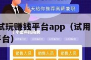 2024试玩赚钱平台app（试用app赚钱的平台）