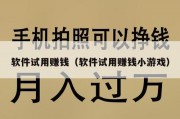 软件试用赚钱（软件试用赚钱小游戏）