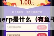 有鱼erp是什么（有鱼平台）
