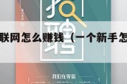 怎么学互联网怎么赚钱（一个新手怎么做电商）