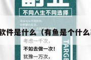 有鱼软件是什么（有鱼是个什么软件）