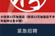 小投资23万加盟店（投资23万加盟店干半年能转让多少钱）