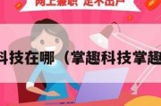 掌趣科技在哪（掌趣科技掌趣科技）