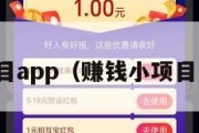赚钱小项目app（赚钱小项目是真的吗）