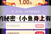 小鱼身上的秘密（小鱼身上有什么特点）