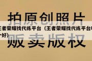 王者荣耀找代练平台（王者荣耀找代练平台哪个好）