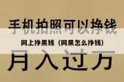 网上挣黑钱（网黑怎么挣钱）