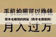 薅羊毛赚钱的网站（薅羊毛情报网）