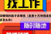 犯法赚钱的路子去哪找（急需十万块钱走投无路该怎么办）