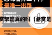 悬赏帮是真的吗（悬赏是啥）