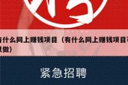 有什么网上赚钱项目（有什么网上赚钱项目可以做）