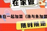 与鱼在一起加盟（渔与鱼加盟费）