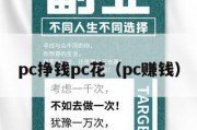 pc挣钱pc花（pc赚钱）
