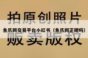 鱼爪网交易平台小红书（鱼爪网正规吗）