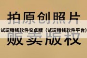 试玩赚钱软件安卓版（试玩赚钱软件平台）