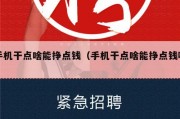 手机干点啥能挣点钱（手机干点啥能挣点钱呢）