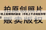 手机上能赚钱的副业（手机上干点啥能挣零花钱）