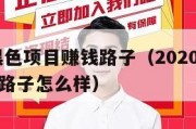2020黑色项目赚钱路子（2020黑色项目赚钱路子怎么样）