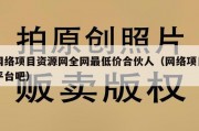 网络项目资源网全网最低价合伙人（网络项目平台吧）