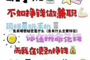 鱼有哪些秘密是什么（鱼有什么主要特征）