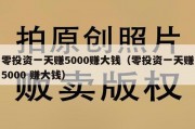 零投资一天赚5000赚大钱（零投资一天赚5000 赚大钱）