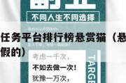 十大悬赏任务平台排行榜悬赏猫（悬赏猫任务平台真的假的）