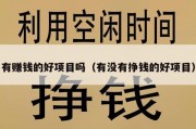 有赚钱的好项目吗（有没有挣钱的好项目）