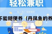 丹凤鱼不能随便养（丹凤鱼的养殖方法）