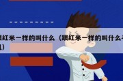 跟红米一样的叫什么（跟红米一样的叫什么手机）