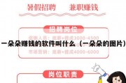 一朵朵赚钱的软件叫什么（一朵朵的图片）