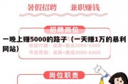 一晚上赚5000的路子（一天赚1万的暴利网站）