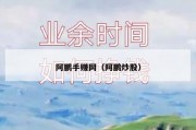 阿鹏手赚网（阿鹏炒股）