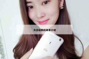 大日瑜教的简单介绍