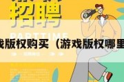 游戏版权购买（游戏版权哪里买）