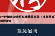 有一种捕鱼游戏可以赚钱是哪款（捕鱼游戏可以赚钱的）