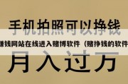 赚钱网站在线进入赌博软件（赌挣钱的软件）