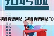 项目资源网站（项目资源网站飞）