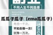 瓜瓜子瓜子（ema瓜瓜子）