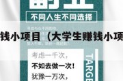 大学生赚钱小项目（大学生赚钱小项目简单容易上手）
