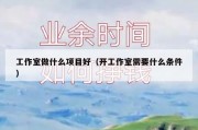 工作室做什么项目好（开工作室需要什么条件）