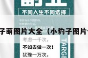 小豹子萌图片大全（小豹子图片卡通）