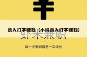 录入打字赚钱（小说录入打字赚钱）