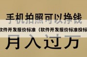 软件开发报价标准（软件开发报价标准投标）