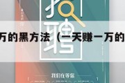 一天挣1万的黑方法（一天赚一万的真实路子）