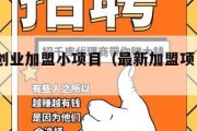 2024创业加盟小项目（最新加盟项目创业）