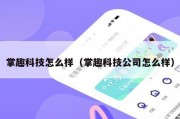 掌趣科技怎么样（掌趣科技公司怎么样）