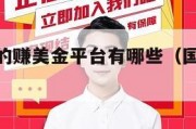 国外最火的赚美金平台有哪些（国外赚钱app排行榜）