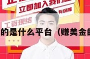 赚美金的是什么平台（赚美金的软件）